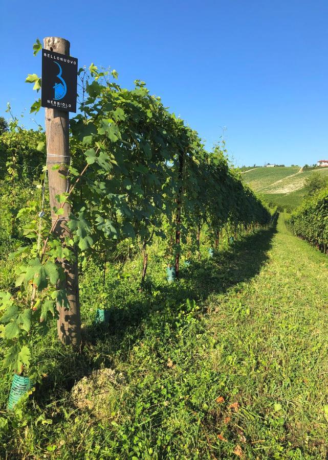 Cascina Bellonuovo Άλμπα Εξωτερικό φωτογραφία